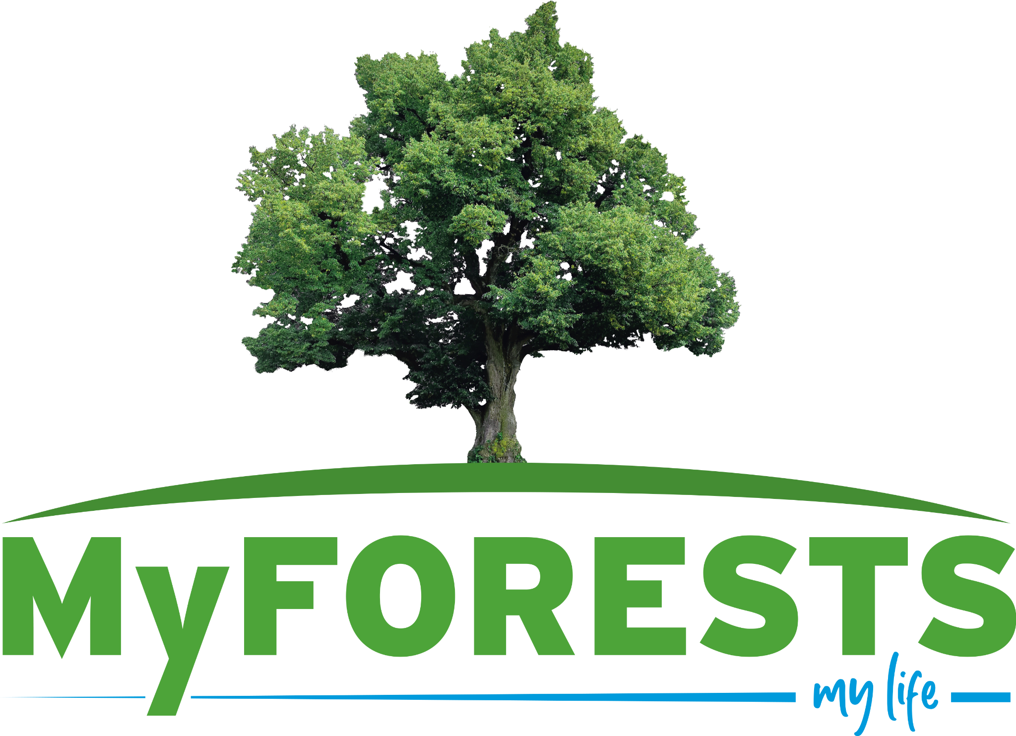 MyFORESTS