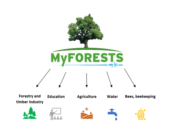 Die fünf Säulen von MyFORESTS